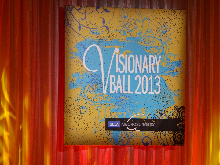 Visionary Ball 2013